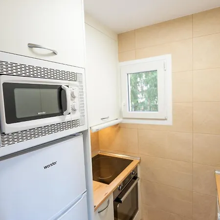 - Admite Mascotas Apartment Formigal